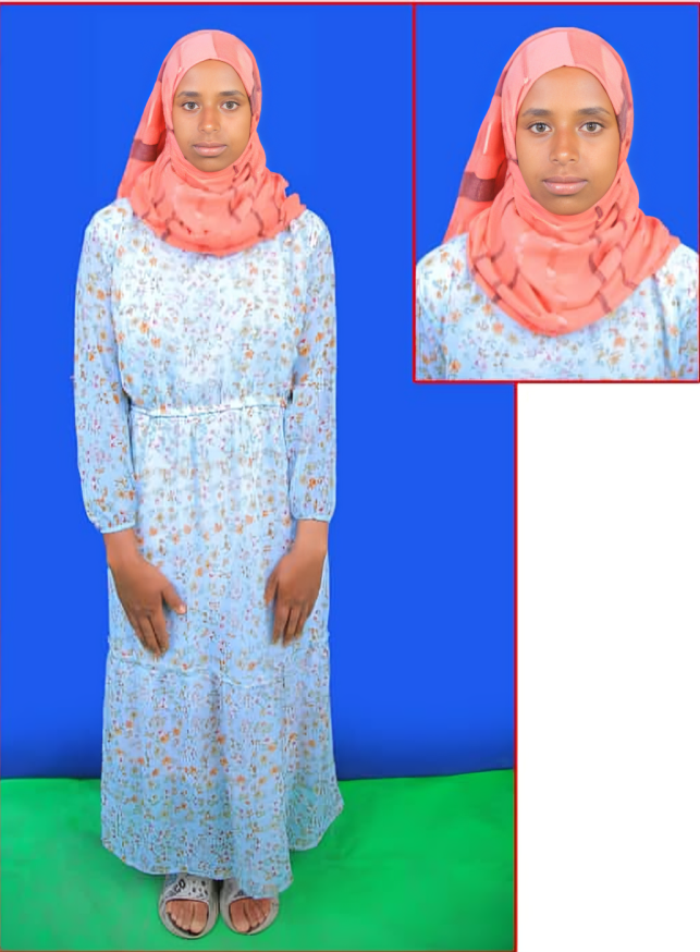 صورة جواز السفر